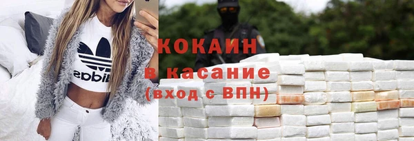 прущие грибы Абаза
