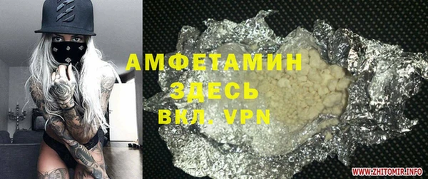 прущие грибы Абаза