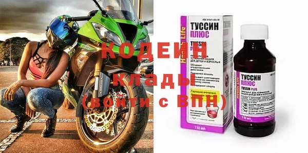 прущие грибы Абаза