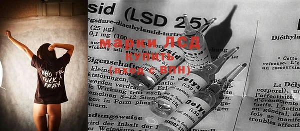 прущие грибы Абаза