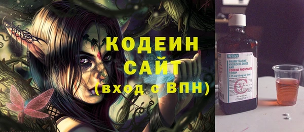 прущие грибы Абаза
