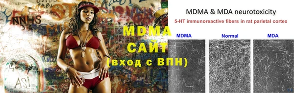 прущие грибы Абаза