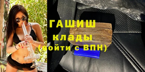 прущие грибы Абаза