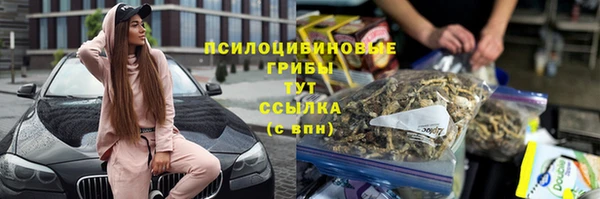 прущие грибы Абаза