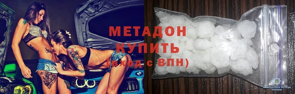 прущие грибы Абаза
