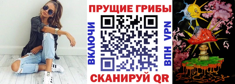 хочу   Брюховецкая  Псилоцибиновые грибы Cubensis 